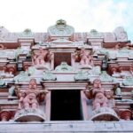 South Tour (Package) to Trinidad Pitch Lake & Datatria Temple - Who Will Enjoy This Tour?