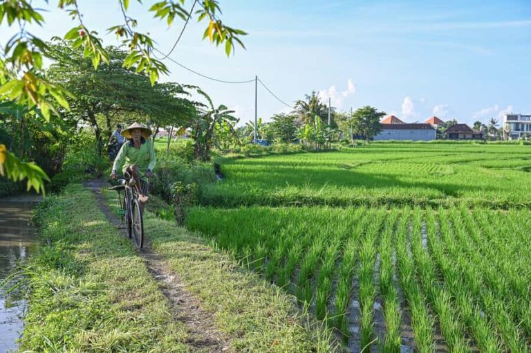 South Ubud: Electric Mountain Bike Tour - Heart of the Rice Fields - Half Day (Private) - The Itinerary Breakdown: What to Expect