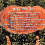 Southern Coast Highlights from Hambantota - The Sum Up