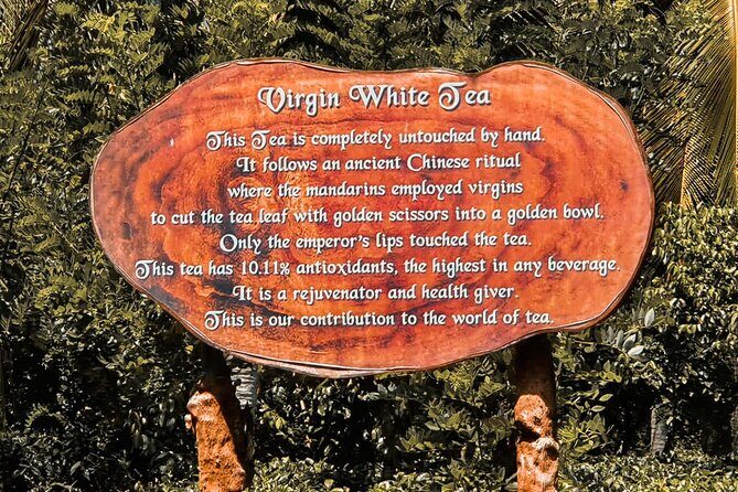 Southern Coast Highlights from Hambantota - The Sum Up  