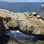 Southern Experience 3 Day Tour - Who Will Love This Trip?