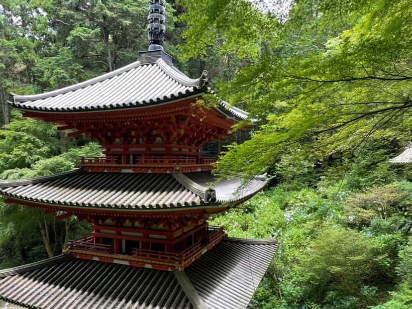Southern Kyoto: Journey to Jruri-ji & Its Pure Land Garden - The Sum Up: Is This Tour Worth It?