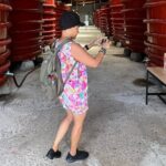 Southern Phu Quoc Scenic Land Tour with Lunch - Who Will Love This Tour?