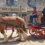 Sovereign Hill & 12 Apostle Private Tour  Up to 14 pax - What Makes This Tour Stand Out?