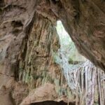 Spanish, French Full Day Tour in St Ann, Jamaica - Authentic Experiences, Not Just Sightseeing