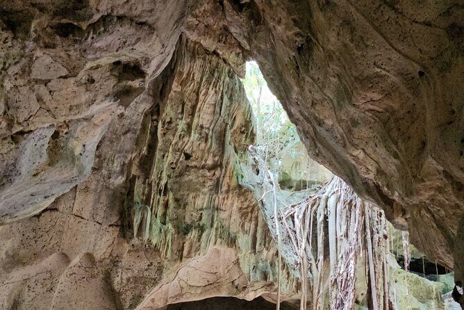 Spanish, French Full Day Tour in St Ann, Jamaica - Authentic Experiences, Not Just Sightseeing