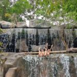 Special Offer Private City Tour Nha Trang And Mud Bath At I-Resort Hot Spring - Practical Tips for Making the Most of the Tour