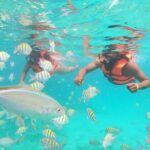 Speedboat Adventure to Snorkeling Spot and Natural Pool - What’s Included and What’s Not