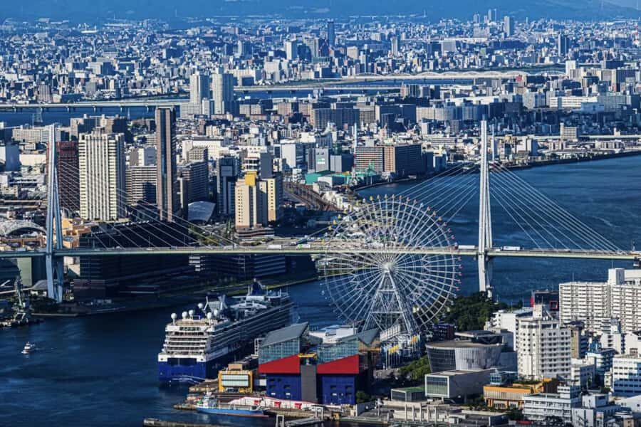 Spring LimitedNemophila Festival & Osaka Kaiyukan Day Trip - Who Will Love This Tour?  