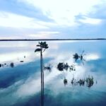 Sri Lanka: 10-Day Guided Tour with Customized tour - A Deep Dive into the 10-Day Sri Lanka Tour