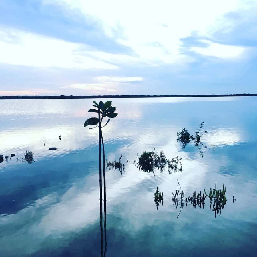 Sri Lanka: 10-Day Guided Tour with Customized tour - A Deep Dive into the 10-Day Sri Lanka Tour