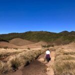 Sri Lanka 10-Days Highlights Tours - Detailed Breakdown of the Itinerary