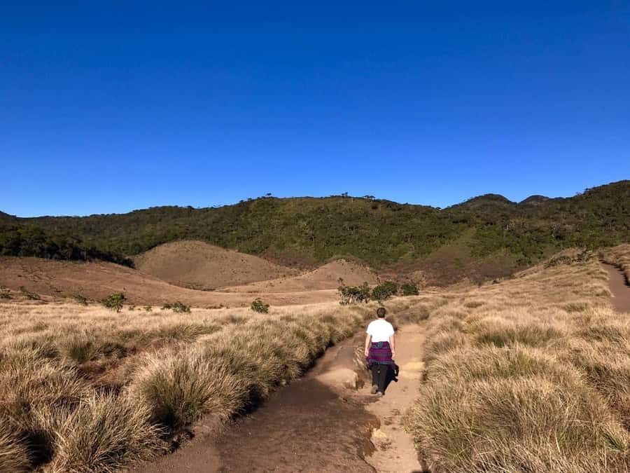 Sri Lanka 10-Days Highlights Tours - Detailed Breakdown of the Itinerary