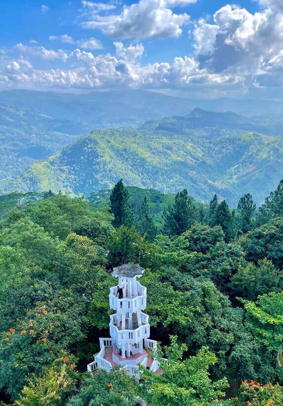 Sri Lanka: 10-Days Private Guided Tour - Who Will Love This Tour?