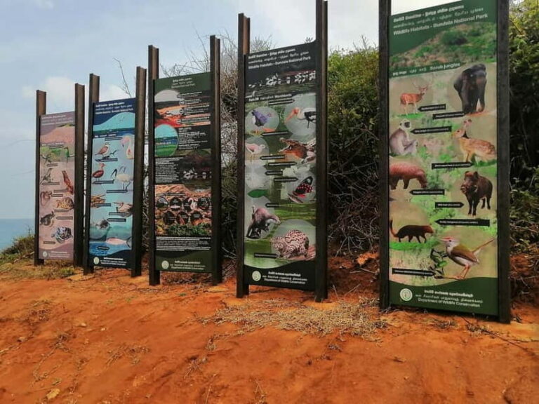 SRI LANKA :11Night 12Days Tour: TRAIL OF TRANQUILITY. - Detailed Breakdown of the Itinerary