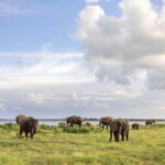 Sri Lanka 14-Day Journey: Culture, Nature & Adventure - The Value of This Tour