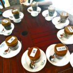 Sri Lanka: 15-Day Guided Tour with Transfers & Hotels - Transportation and Accommodation