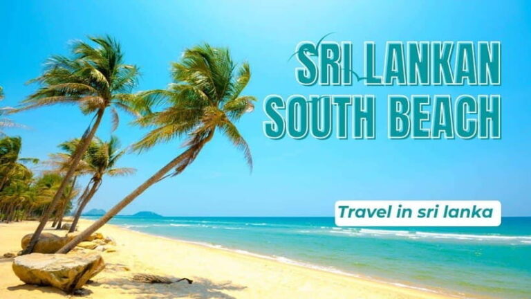 "Sri Lanka 2-Day Tour: Explore Hikkaduwa, Galle & Yala" - Detailed Breakdown of the Itinerary