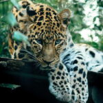 Sri Lanka 5-Day Private Guided Tour - Practical Considerations and Value