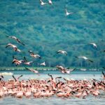 Sri Lanka 5-Day Private Local Experince Tour - The Sum Up