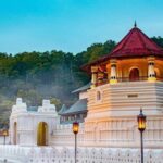 Sri Lanka 5 Day Tour in Sigiriya Kandy and Scenic Wonders - A Well-Rounded Introduction to Sri Lanka’s Highlights