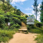 Sri Lanka: 6-Day Wildlife Safari Private Tour - A Complete Breakdown of the 6-Day Safari