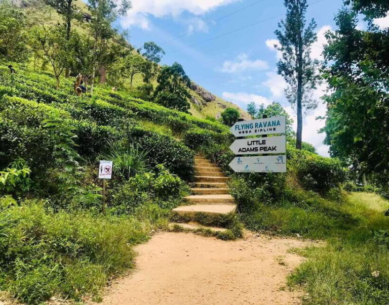 Sri Lanka: 6-Day Wildlife Safari Private Tour - A Complete Breakdown of the 6-Day Safari