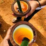 Sri Lanka 6 Days Private Tour with 3 star Hotels HB and Car - Who Will Love This Tour?