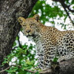 Sri Lanka: 7-Day Off-The-Beaten Path Private Tour - The Itinerary Breakdown: What to Expect