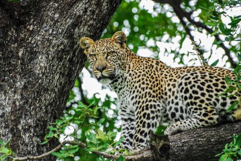 Sri Lanka: 7-Day Off-The-Beaten Path Private Tour - The Itinerary Breakdown: What to Expect