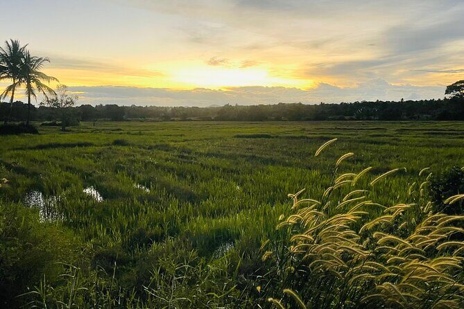 Sri Lanka 7 Day Tour with Private Driver - Day 3: Tea Plantations & Colonial Charm