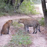 Sri Lanka 8-Day Private Tour-:25 Amazing Places+Activities - The Practicalities: Whats Included and What to Know