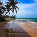 Sri Lanka: 9-Day Private Round Tour With H/B Accommodation - Introduction: Why This Tour Might Just Be Perfect for You