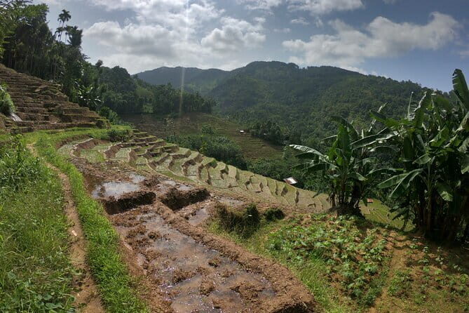 Sri Lanka All Inclusive Day Tour: Hiking & Activities Farmers Village Kandy - What Makes this Tour Stand Out?