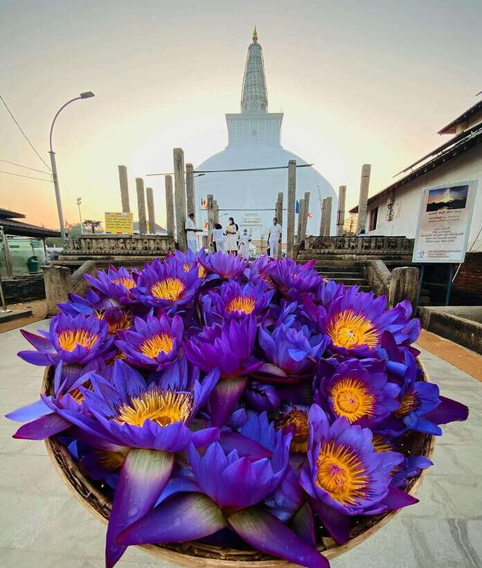 Sri Lanka Ancient Temple, Wildlife, Hill Country Train - What Makes This Tour Stand Out?  