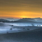 Sri Lanka Compact Highlight 5-Day Tour Sigiriya, Kandy, Ella - An In-Depth Look at the 5-Day Itinerary