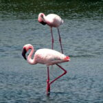 Sri Lanka Green Bless- 2-day Private Trip To Enjoy Nature - FAQs