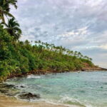 Sri Lanka in 6 Days: Ancient Kingdoms and Wild Wonders - Transportation, Pricing, and Overall Value