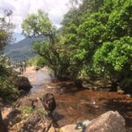 Sri Lanka jungle tour 4 days-rainforests, national parks... - The Breakdown of Your 4-Day Sri Lanka Jungle Tour