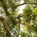 Sri Lanka: Sigiriya, Dambulla Highlights Day Tour And Safari - The Value of This Tour