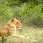 Sri Lanka:10-Day Peaks & Beaks Tour -Entry & Adventures Fees - Who Will Love This Tour?