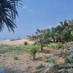 SriLanka Private Tour: 6Days 5Nights Adventure, Culture&more - Who Should Consider This Tour?