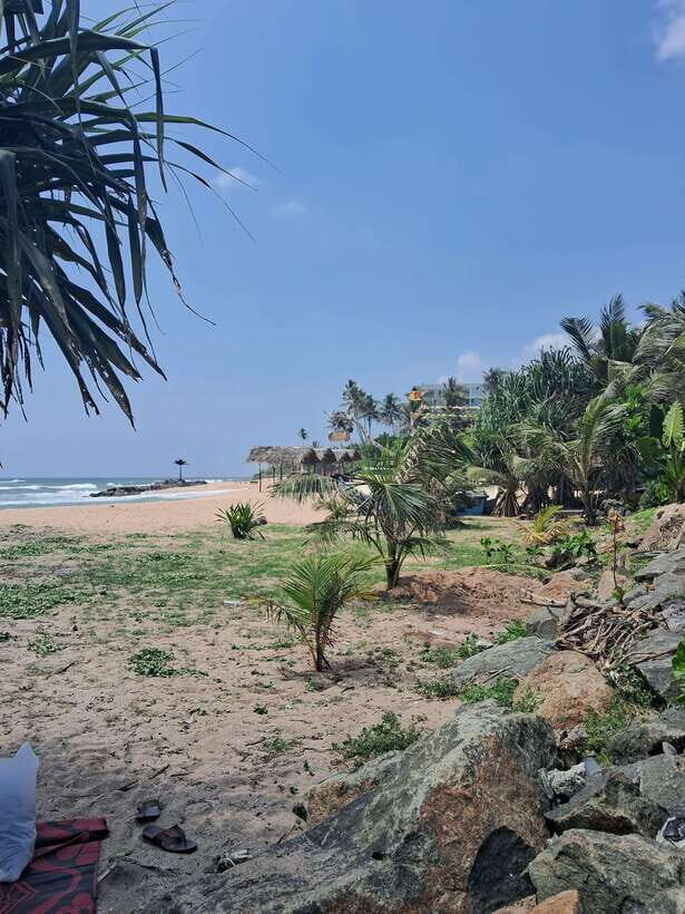 SriLanka Private Tour: 6Days 5Nights Adventure, Culture&more - Who Should Consider This Tour?