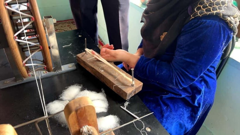 Srinagar: Cashmere Pashmina Craft Tour with Master Artisans - Who Will Love This Experience?