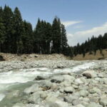 Srinagar: Doodhpathri Day Trip with Transfers - The Itinerary: What to Expect