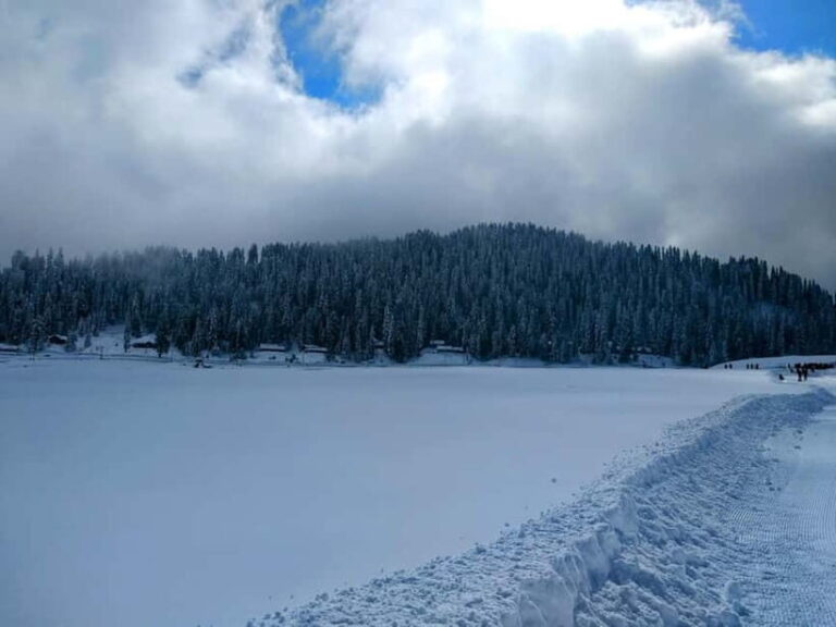 Srinagar: Gulmarg Day Tour - Explore the Meadow of Flowers - The Value of This Tour