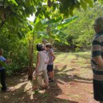 St. George's: Half-day spice and waterfall tour - Why This Tour Works Well