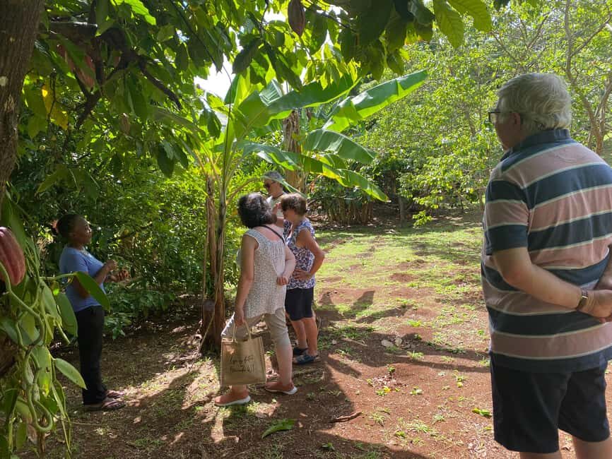 St. George's: Half-day spice and waterfall tour - Why This Tour Works Well