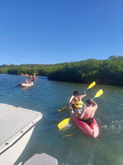 St. John's, Antigua Kayak, Snorkeling, & Beach Bird Island - What You’ll Love About This Tour