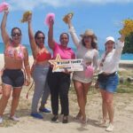 St. John's,Antigua Horse Back Riding & bareback swim & Fort beach - What to Expect in Terms of Logistics and Value